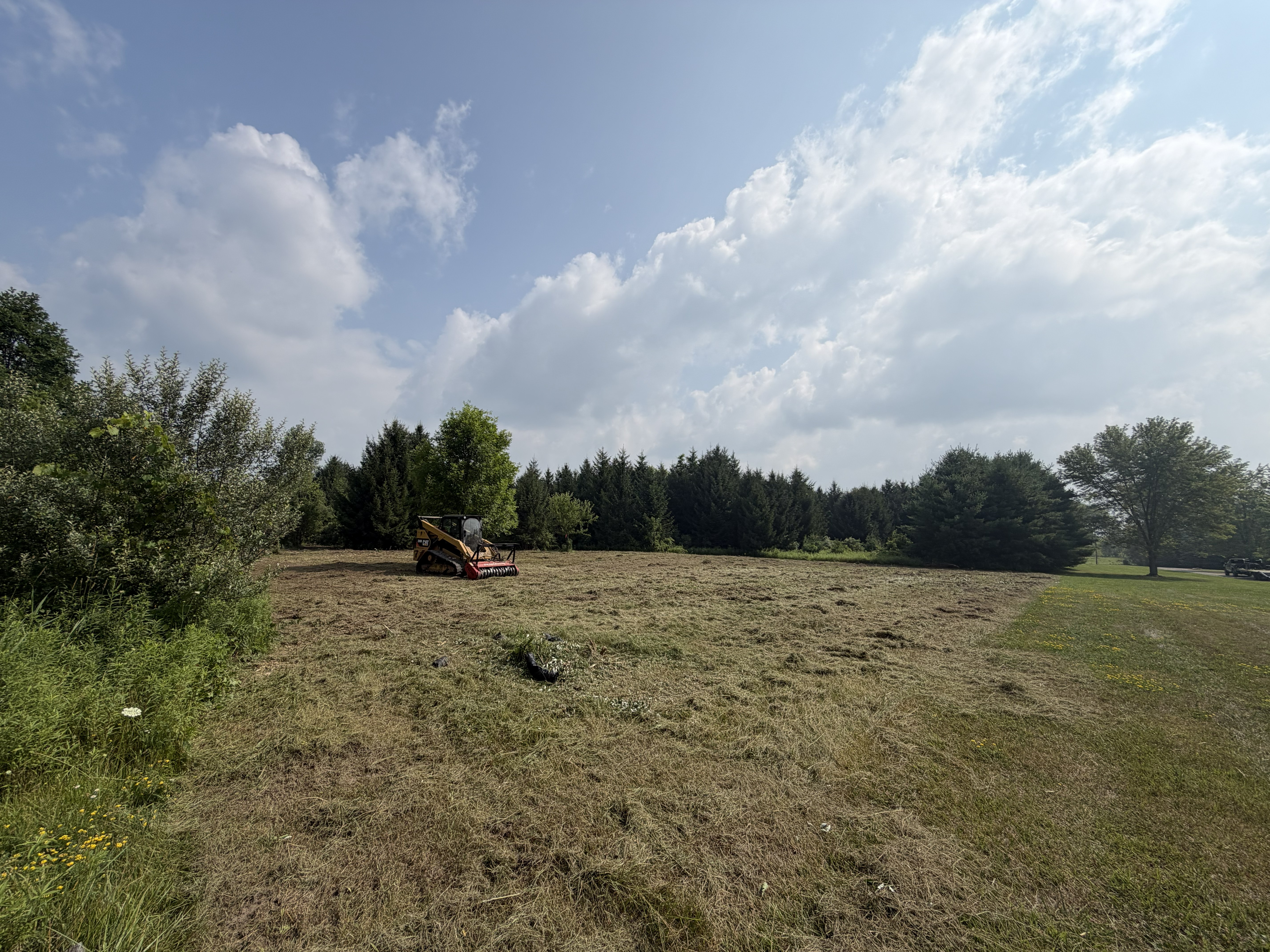 Cam Land Clearing